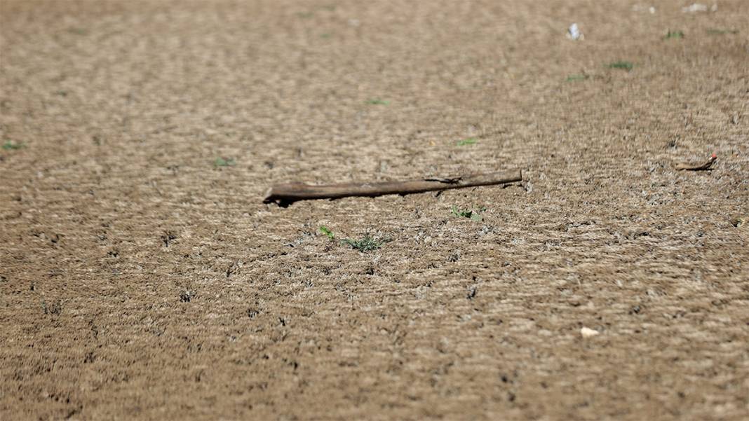 Hayvanların su kaynağıydı kuraklık vurdu! Taşlık Göleti yok oldu 1