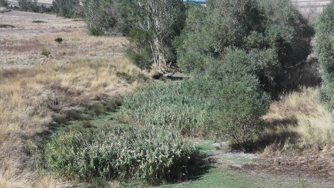 Kuraklık Edirne'yi vurdu: Göletler kurumaya devam ediyor 5
