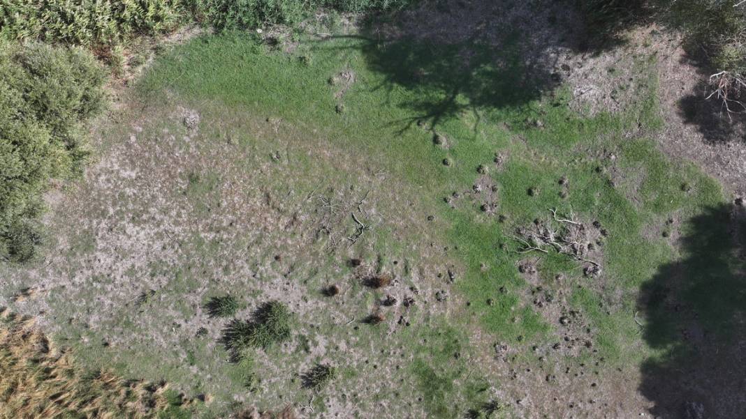 Kuraklık Edirne'yi vurdu: Göletler kurumaya devam ediyor 3