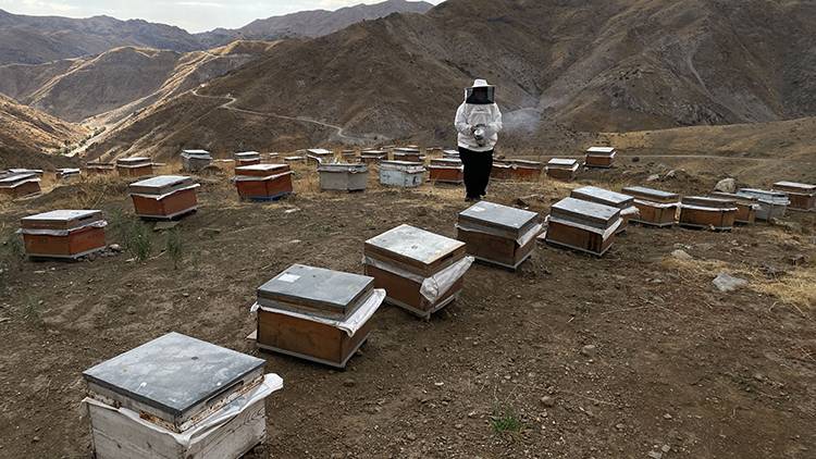 30 kovanla başladı, 4 tona kadar çıkardı! 8 yıl önce aldığı devlet desteği hayatını değiştirdi 4