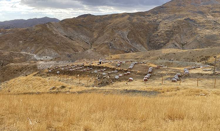 30 kovanla başladı, 4 tona kadar çıkardı! 8 yıl önce aldığı devlet desteği hayatını değiştirdi 1