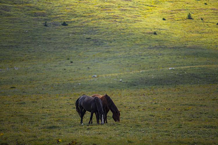 Bu köyde teknoloji yok huzur var! Doğanın tam ortasında huzurun başkenti: Lukomir Köyü 3