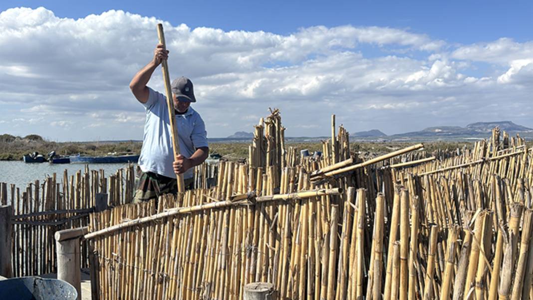 Kilosunun fiyatı 5 bin liraya kadar çıkıyor! Besin değeri çok yüksek: Çıkartması ise zahmetli 5