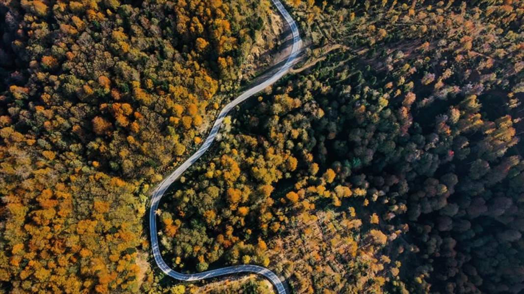 Burası İsveç ya da Norveç değil, Türkiye! Çam Dağı'nda nefes kesen manzara: 900 rakımlı dağ film sahnelerini aratmadı 3