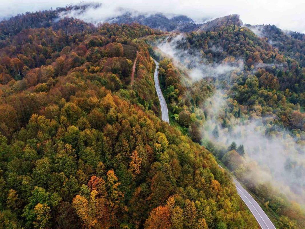 Burası İsveç ya da Norveç değil, Türkiye! Çam Dağı'nda nefes kesen manzara: 900 rakımlı dağ film sahnelerini aratmadı 1