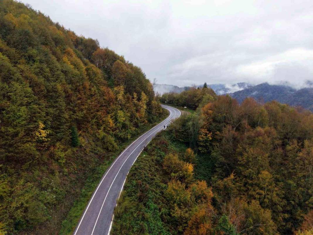 Burası İsveç ya da Norveç değil, Türkiye! Çam Dağı'nda nefes kesen manzara: 900 rakımlı dağ film sahnelerini aratmadı 4