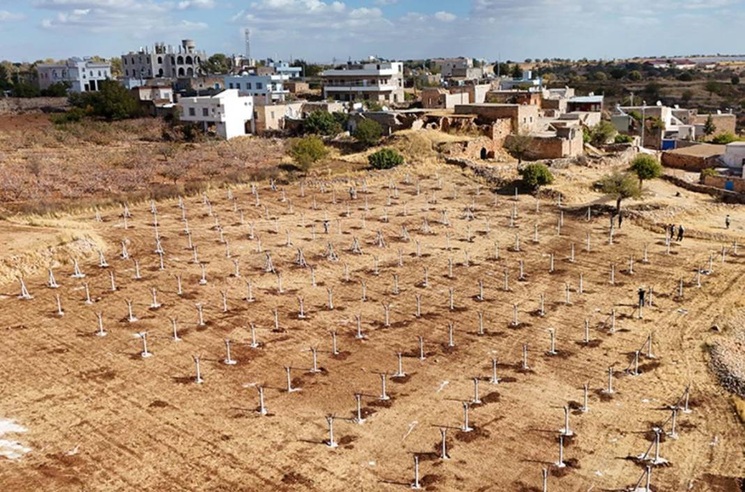 Mardin'de tarımda yeni dönem! Atıl araziler modern bağcılığa açılıyor 2