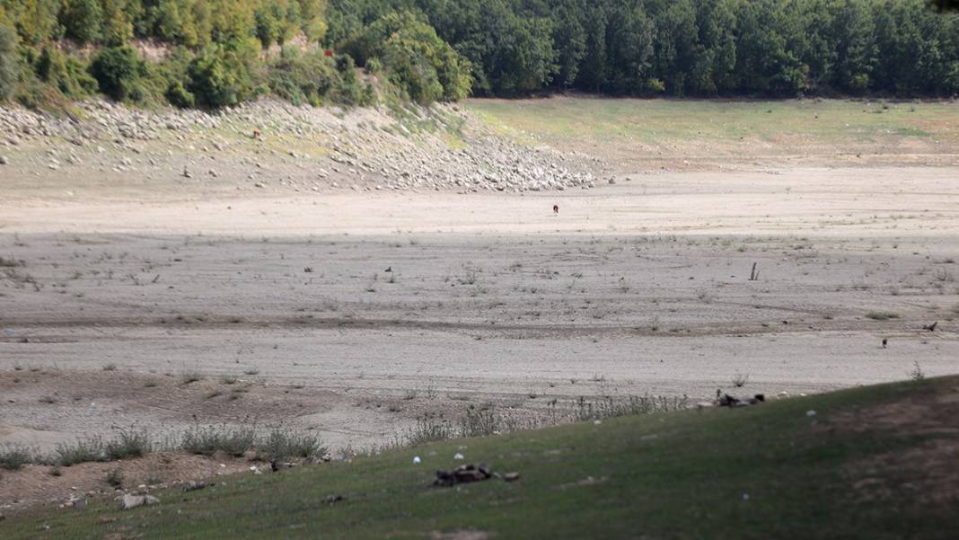 Kazandere Barajı neredeyse kurudu! İstanbul'un su ihtiyacı tehlikede 3