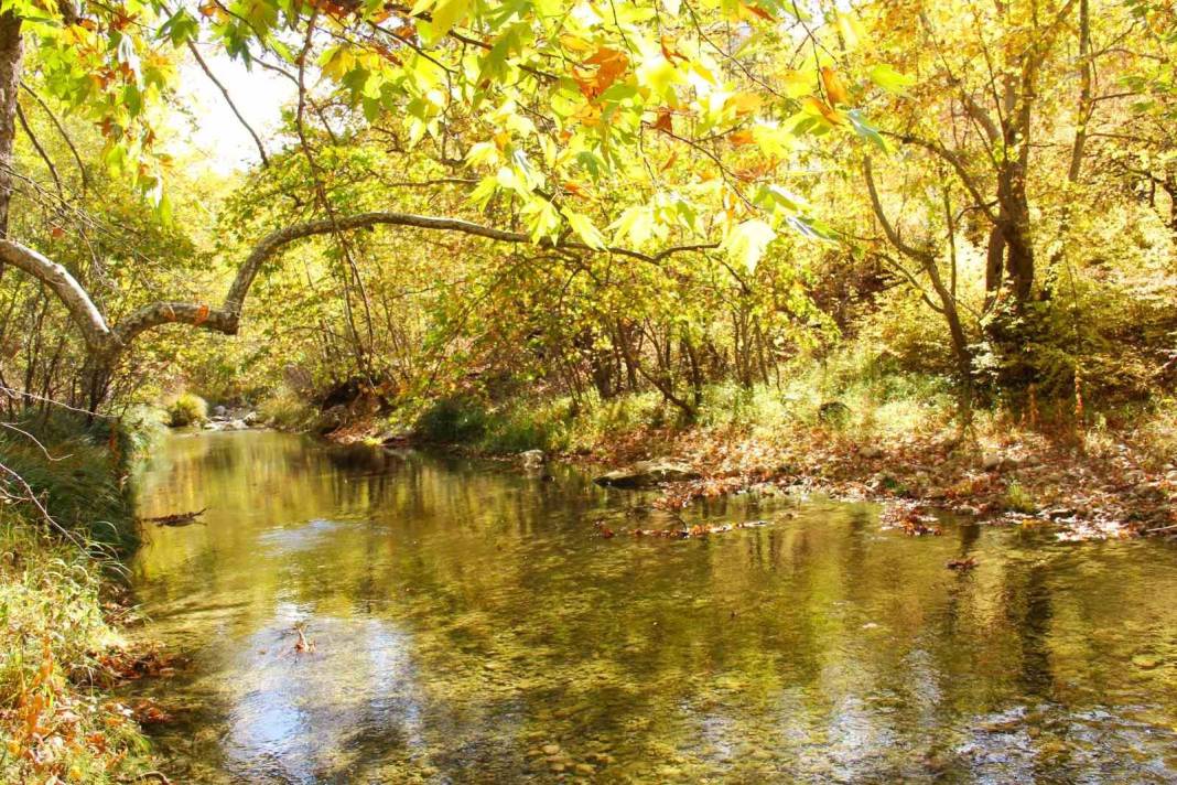 Kahramanmaraş'ın saklı cenneti keşfedildi! Gökyüzünü kapatan Cödden Vadisi sonbaharda büyülüyor 1