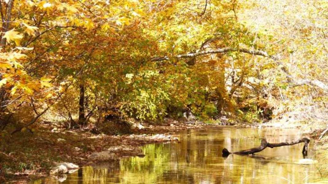 Kahramanmaraş'ın saklı cenneti keşfedildi! Gökyüzünü kapatan Cödden Vadisi sonbaharda büyülüyor 5