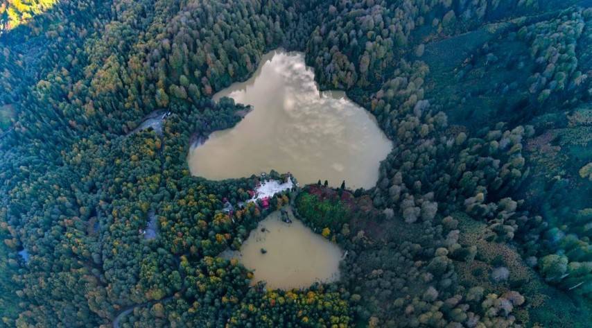 Karadeniz sonbahar renklerine büründü! Borçka’da kartpostallık manzaralar ortaya çıktı 7
