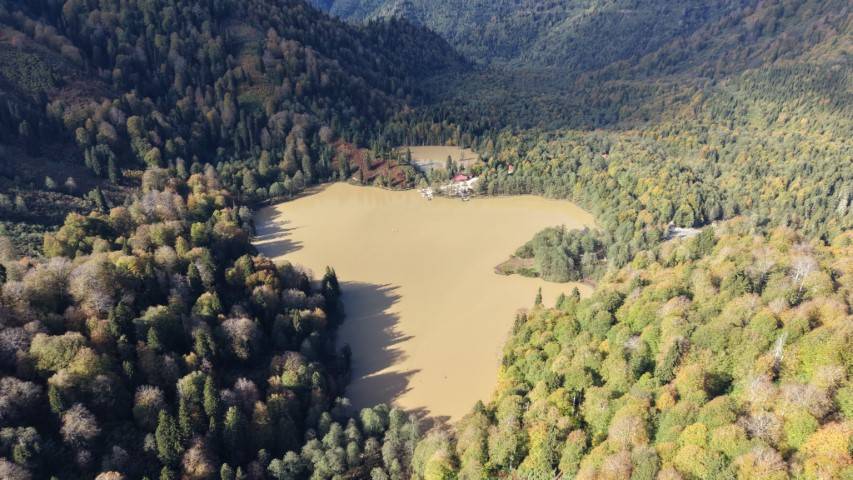 Karadeniz sonbahar renklerine büründü! Borçka’da kartpostallık manzaralar ortaya çıktı 6