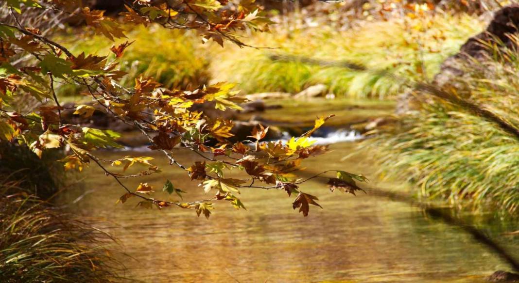 Kahramanmaraş'ın saklı cenneti keşfedildi! Gökyüzünü kapatan Cödden Vadisi sonbaharda büyülüyor 2