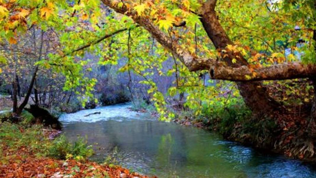 Kahramanmaraş'ın saklı cenneti keşfedildi! Gökyüzünü kapatan Cödden Vadisi sonbaharda büyülüyor 3