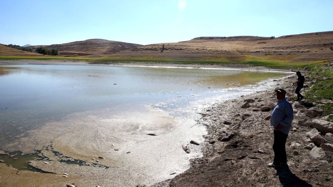 Tozlu Göleti'nde endişe veren manzara: Su seviyesi çekildi, balıklar öldü 2