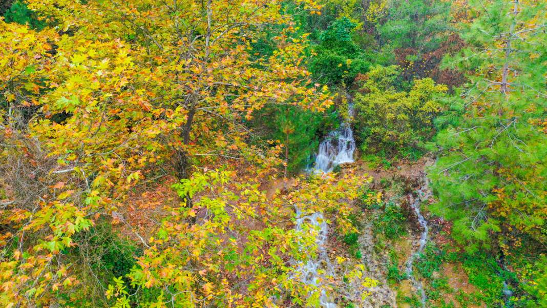 20 yıl önce kuruyan pınar, Balıkesir depremiyle yeniden akmaya başladı 3