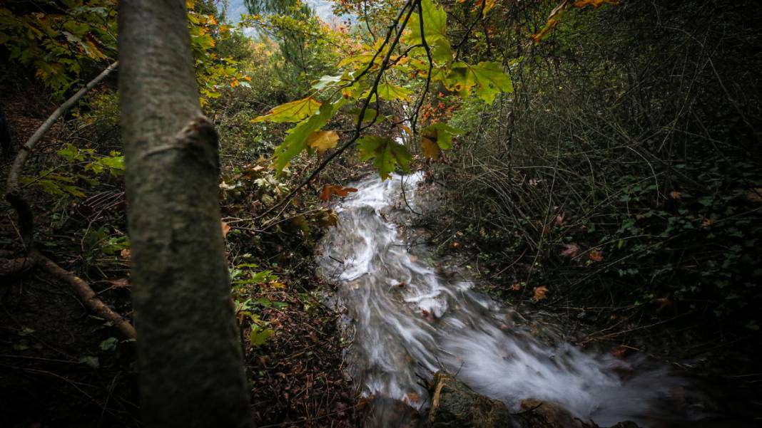 20 yıl önce kuruyan pınar, Balıkesir depremiyle yeniden akmaya başladı 6