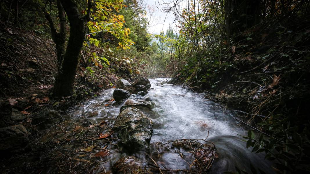20 yıl önce kuruyan pınar, Balıkesir depremiyle yeniden akmaya başladı 8