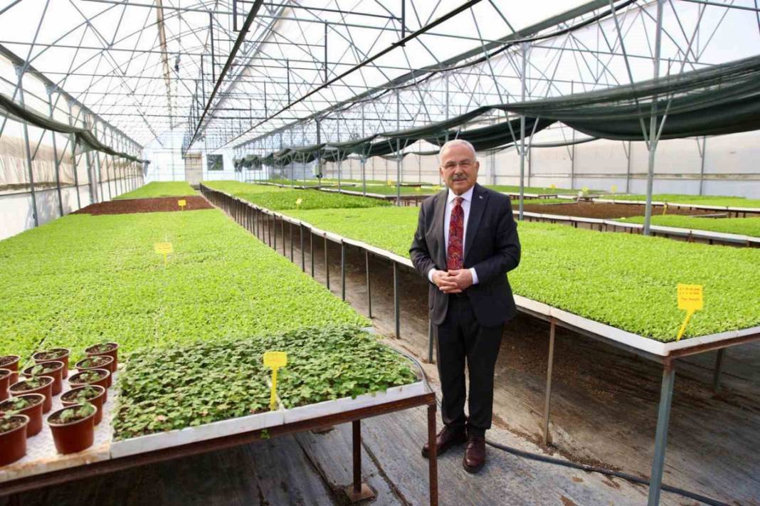 Belediyeden tarımsal üretime büyük destek! 4.6 milyon fideden sonra 400 bin kışlık sebze fidesi dağıtımına başlıyor 2