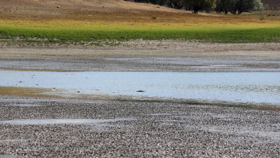 Tozlu Göleti'nde endişe veren manzara: Su seviyesi çekildi, balıklar öldü 4