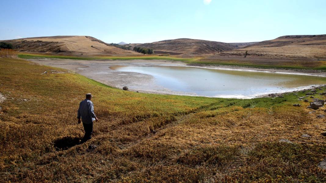 Tozlu Göleti'nde endişe veren manzara: Su seviyesi çekildi, balıklar öldü 5