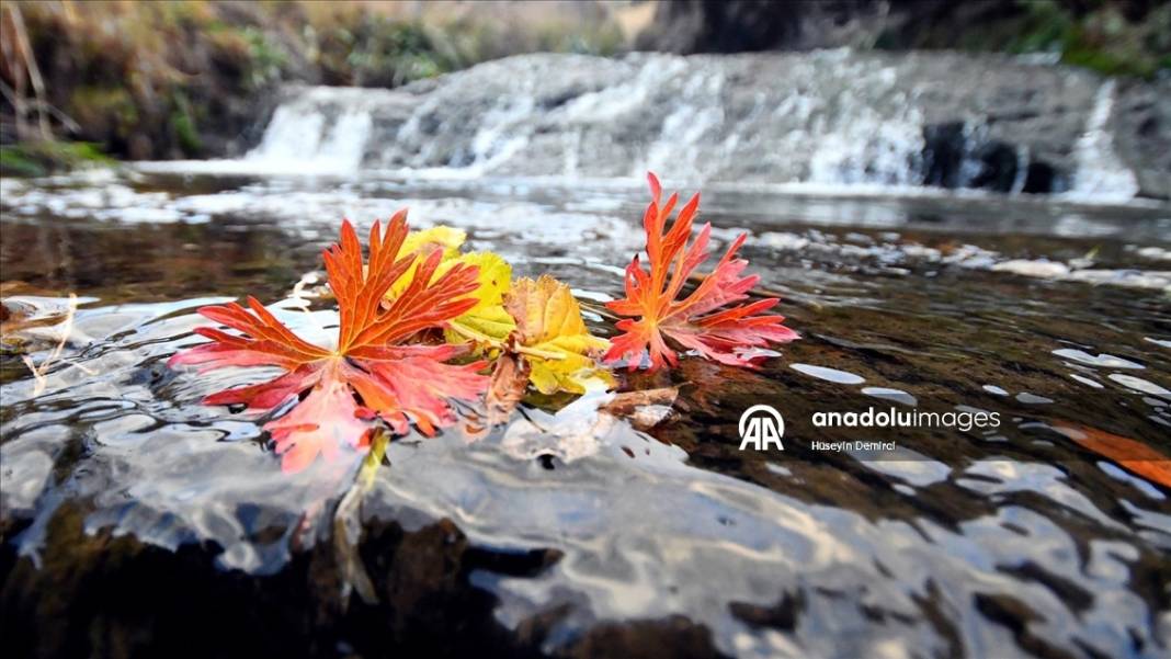 Sonbahar güzelliği ile büyülüyor! Kars’taki Keklik Vadisi görenleri hayran bırakıyor 4