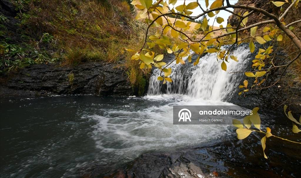 Sonbahar güzelliği ile büyülüyor! Kars’taki Keklik Vadisi görenleri hayran bırakıyor 3