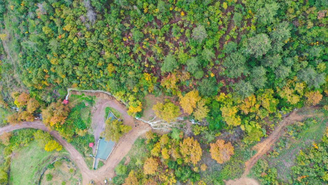 20 yıl önce kuruyan pınar, Balıkesir depremiyle yeniden akmaya başladı 7