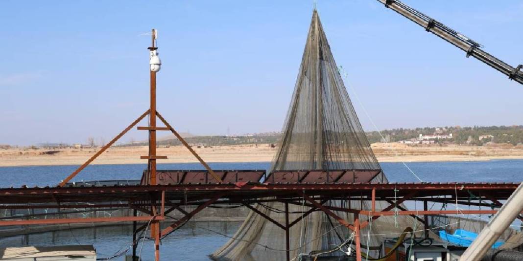 Kırşehir’de somon ihracatı dikkat çekiyor! Karadeniz’e yeni rakip: Rusya ve Çin’den bile talep görüyor 3