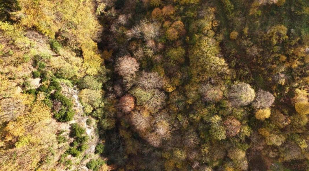 Marmara’nın saklı cenneti! İstanbul'a iki saat uzaklıkta: Sonbaharın vazgeçilmez adresi 1