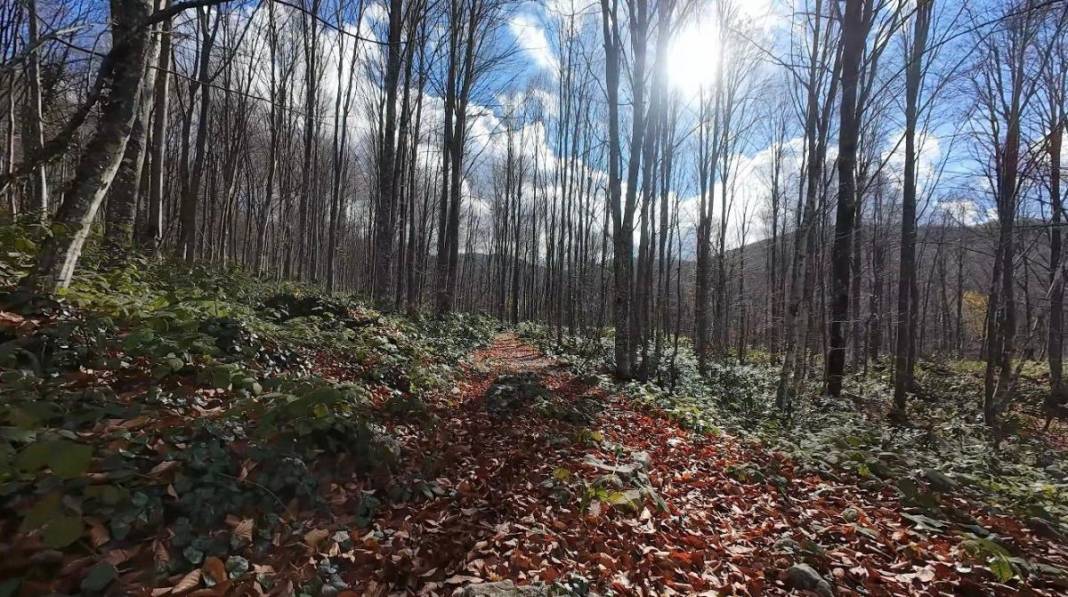 Marmara’nın saklı cenneti! İstanbul'a iki saat uzaklıkta: Sonbaharın vazgeçilmez adresi 2