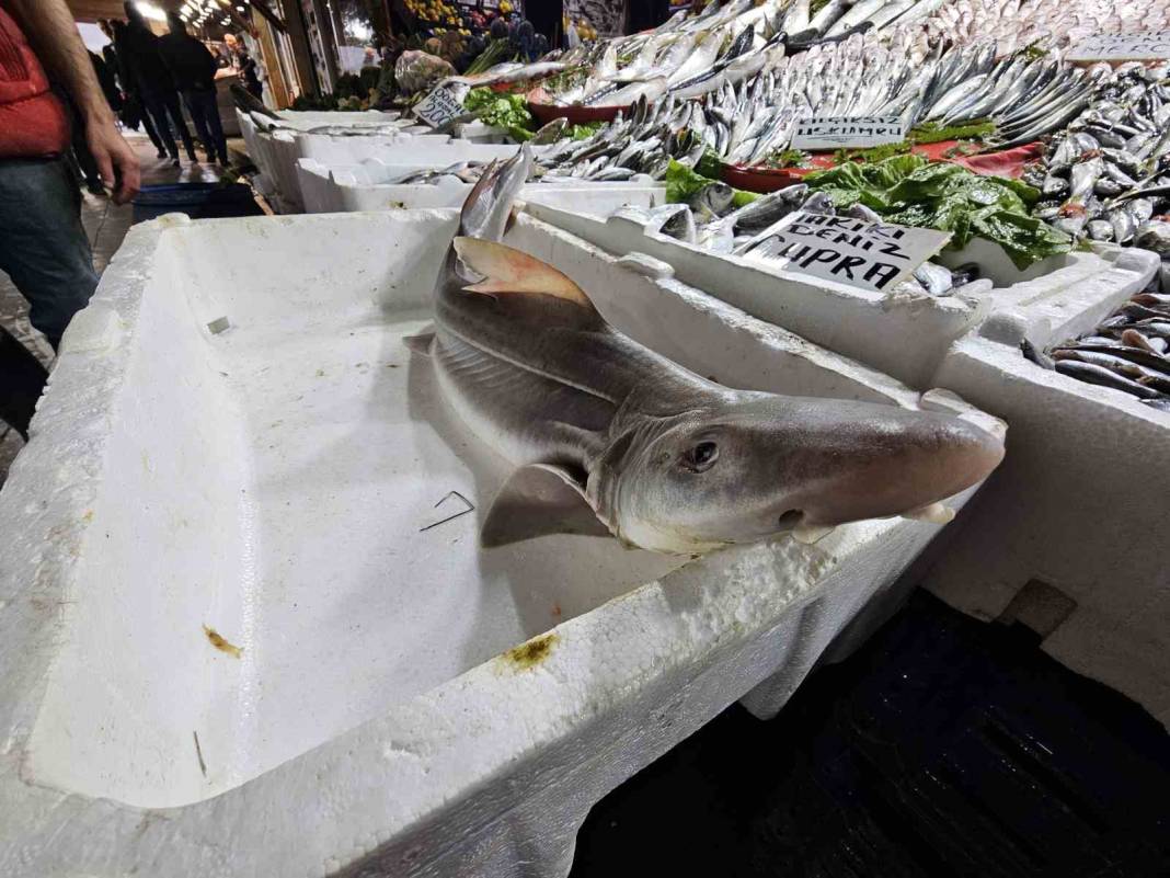 Tarihi çarşıda şaşırtan manzara! Elazığ’da tezgaha köpek balığı konuldu! 1