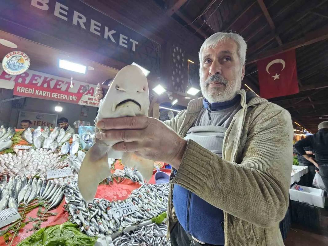 Tarihi çarşıda şaşırtan manzara! Elazığ’da tezgaha köpek balığı konuldu! 3