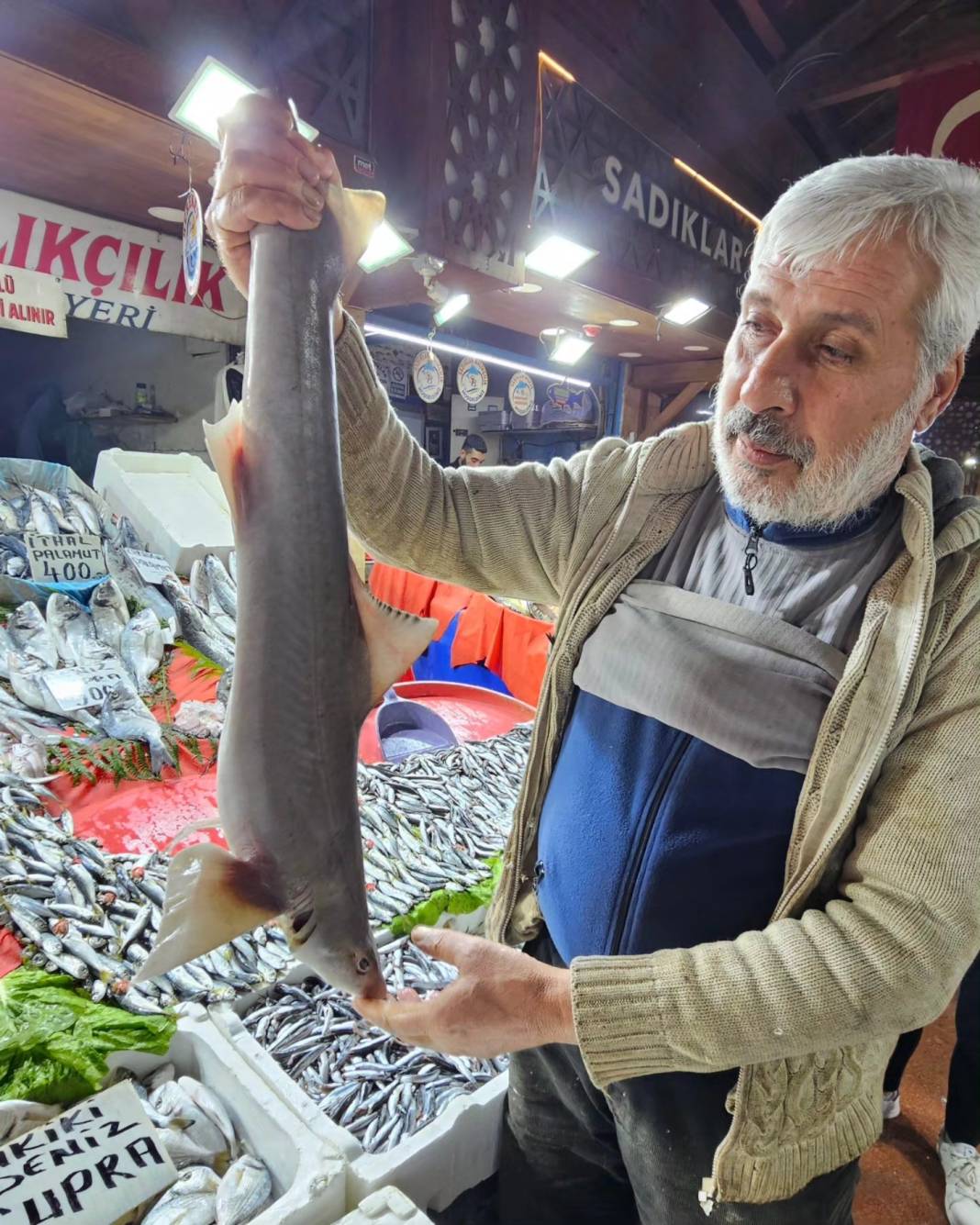 Tarihi çarşıda şaşırtan manzara! Elazığ’da tezgaha köpek balığı konuldu! 2