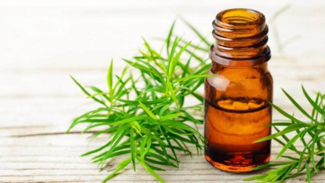 Doğal çözüm keşfedildi! Dökülen kaşları geri getiren ve hızla uzatan mucizevi yağ bakımı 4