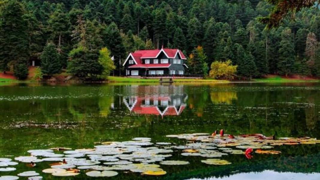 Burası Japonya değil ama… İstanbul'a 4 saat: Türkiye’nin sonbaharda büyüleyen renk cümbüşü 3