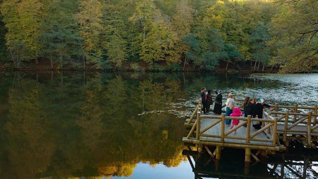 Burası Japonya değil ama… İstanbul'a 4 saat: Türkiye’nin sonbaharda büyüleyen renk cümbüşü 4