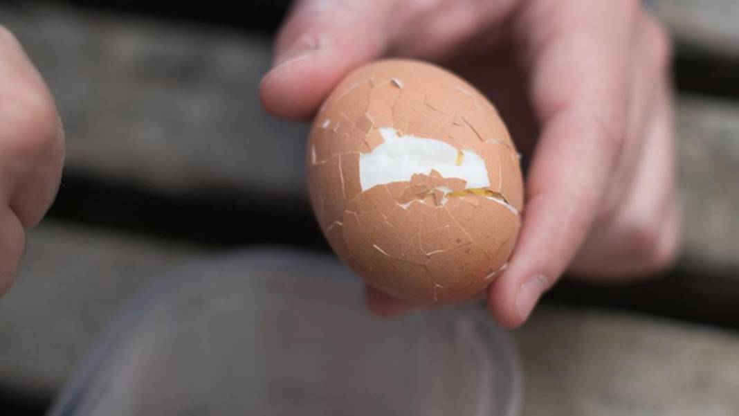Haşlanmış yumurtayı mükemmel soymanın ve pişirmenin en kolay yolu! Suya koymadan önce... 5