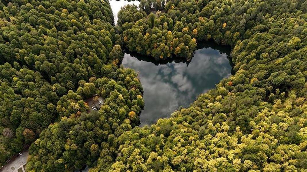 Burası Japonya değil ama… İstanbul'a 4 saat: Türkiye’nin sonbaharda büyüleyen renk cümbüşü 2