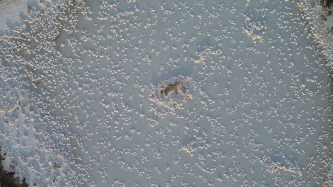 Tuz Gölü’nde sular çekildi, ortaya ilginç tuz şekilleri çıktı 5