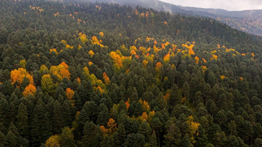 Sonbaharın gözde turizm merkezi! Herkes oraya akın ediyor: Manzarası görenleri büyülüyor 5