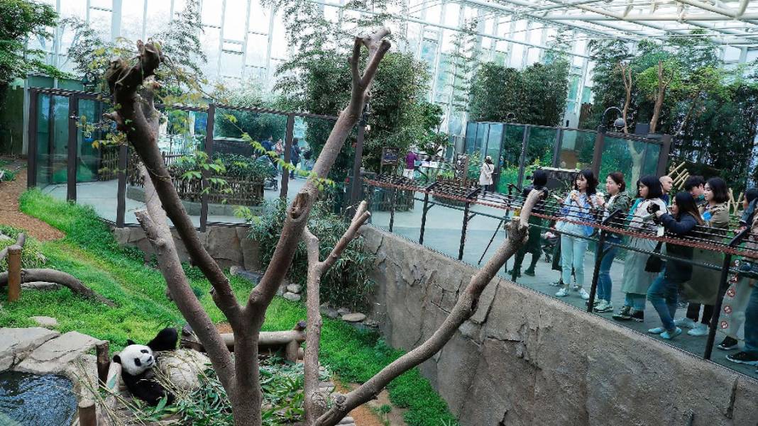 Dünyanın en çok hayal kırıklığı yaratan turistik yerleri belli oldu: Kapalıçarşı da listede 1