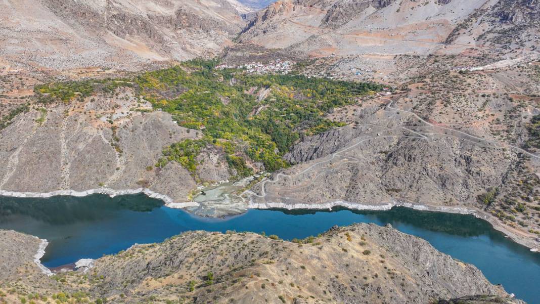 Diyarbakır’da deneme amaçlı dikilen narenciye ağaçları meyve verdi 2