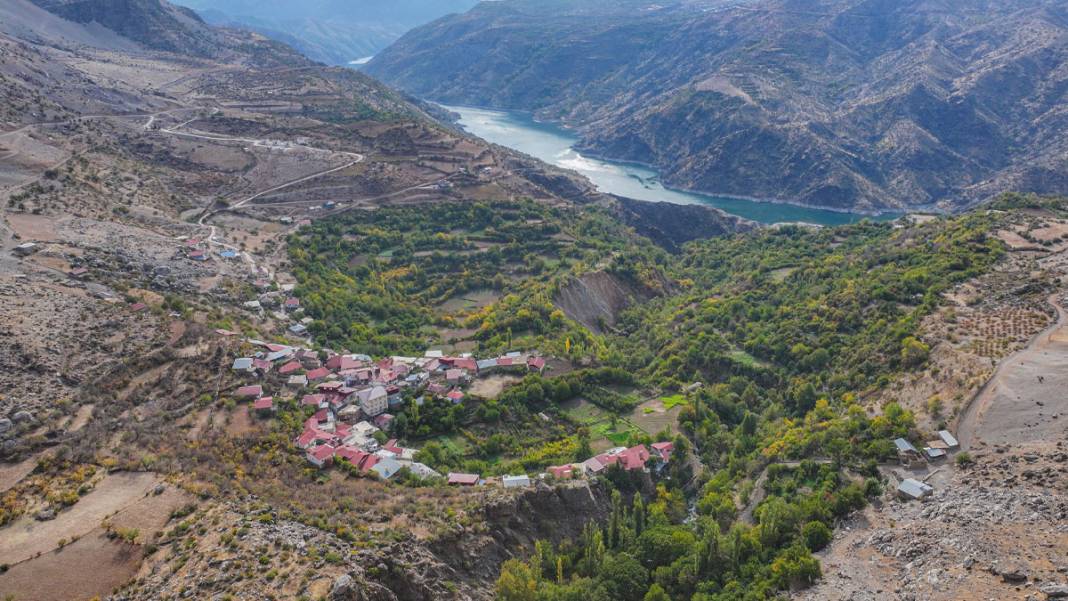 Diyarbakır’da deneme amaçlı dikilen narenciye ağaçları meyve verdi 1
