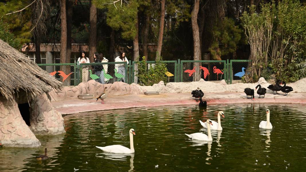 Gaziantep'teki Doğal Yaşam Parkı’na rekor ilgi: 9 günde 325 bin ziyaretçi ağırladı 1