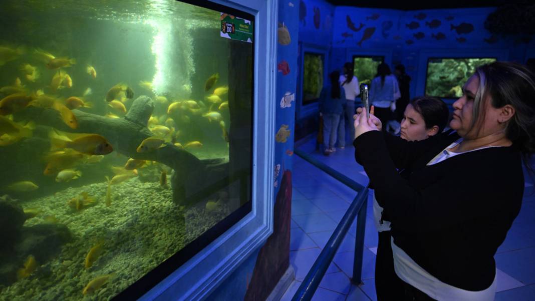 Gaziantep'teki Doğal Yaşam Parkı’na rekor ilgi: 9 günde 325 bin ziyaretçi ağırladı 5