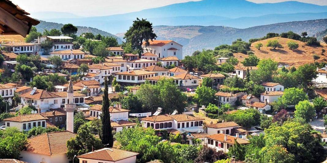 Bir kez giden dönmek istemiyor! Köy değil sanki sanat eseri: Rüzgar, deniz, zeytin ağaçları… 2