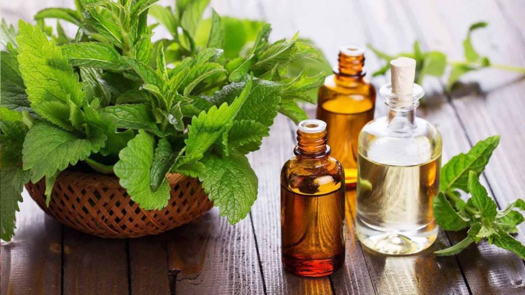 Bunları öğrenince hemen eve nane yağı alacaksınız! Uçucu nane yağının bilinmeyen 5 faydası 2