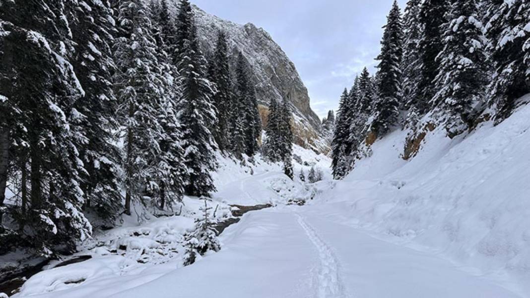 Yarıyıl tatil planı hazır! İstanbul, Ankara oraya Akın ediyor: Acemi, profesyonel her kayakçı için uygun 1