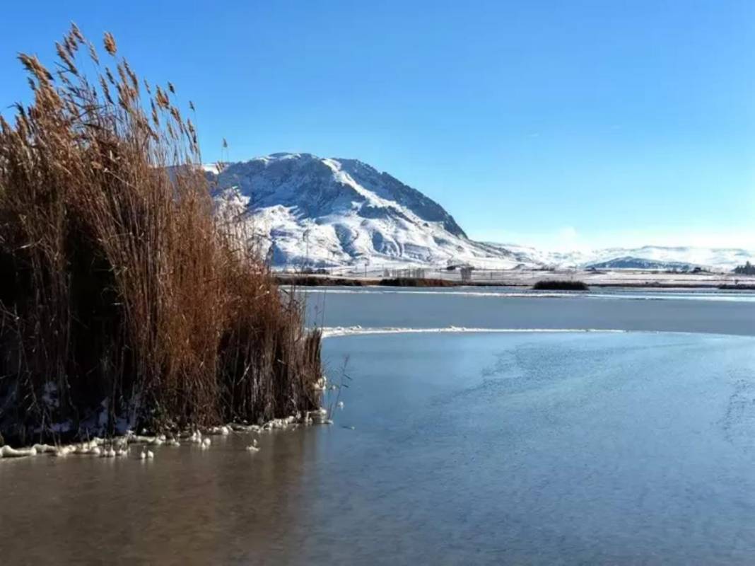Geçen sene kuraklığın kıyısından dönen dev göl şimdi de buz tuttu! Ördekler kendilerine zor yer buldu 2